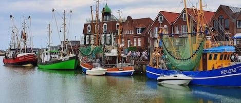 Rumah | Pemandangan dari properti