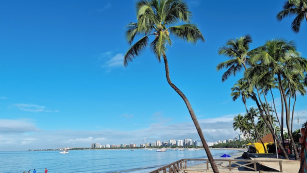 A beach with a wooden walkway, palm trees, and a city skyline in the background. - Apê na Ponta Verde com Wi-Fi e Piscina no Topo (Maceió)