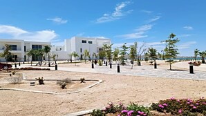 A modern building with a courtyard, surrounded by trees and a sandy area with flowers. - Costa Divina LV 62 by Kivoya (Puerto Peñasco)