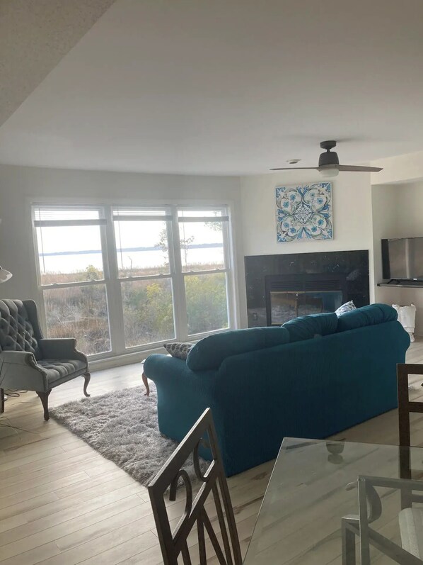 Smart TV, fireplace, books