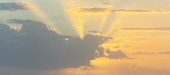 3/4 of mile to beach, 2-bedroom cottage, in the Hammock, Palm Coast