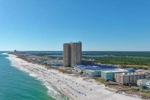 On the beach - GREAT LOCATION FOR FAMILIES, DIRECT BEACH ACCESS, INDOOR/OUTDOOR POOL! (Orange Beach)