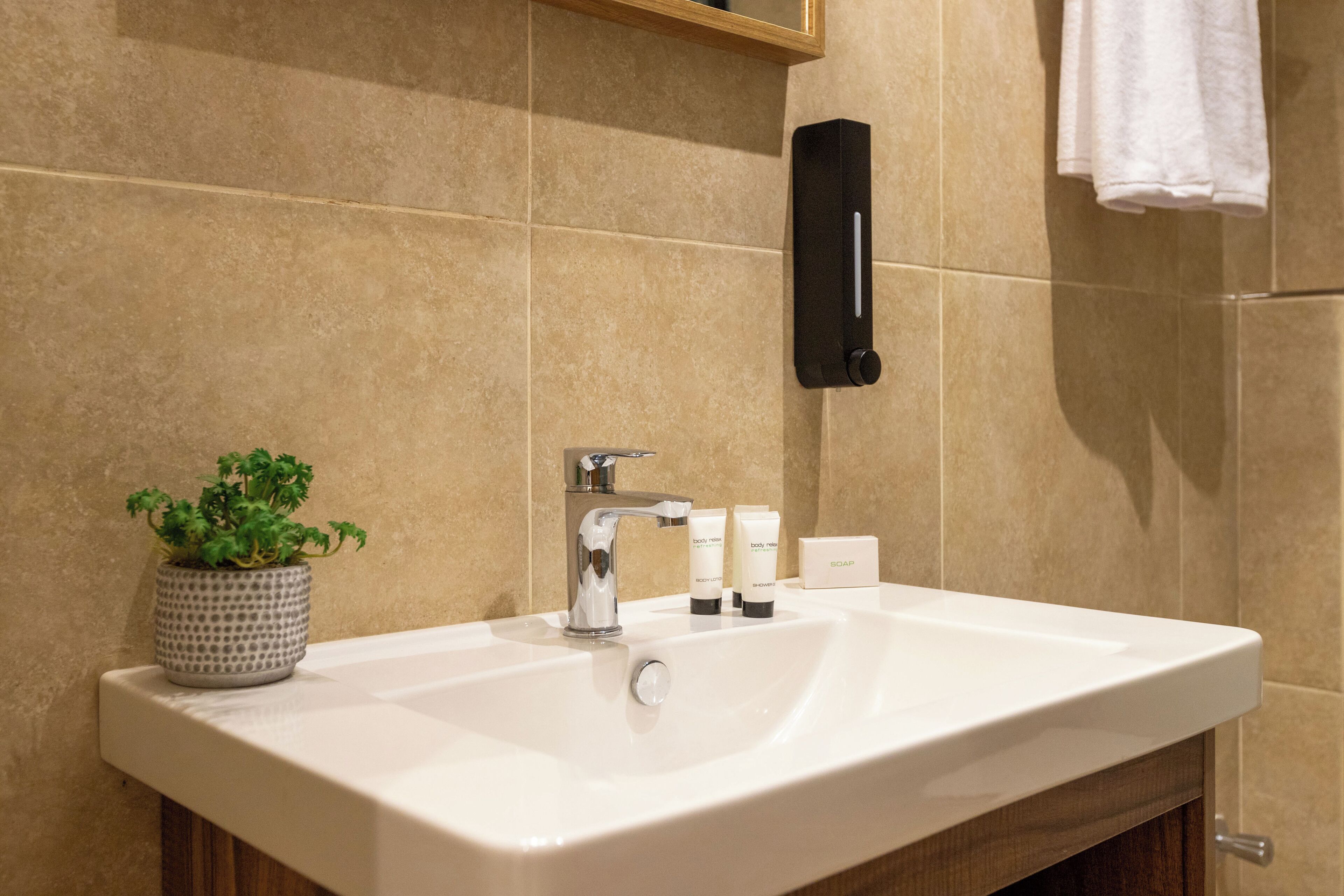 A bathroom with a white sink, a potted plant, and toiletries.