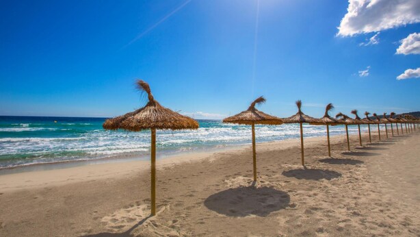 Una playa con hileras de sombrillas de paja y un cielo azul despejado.