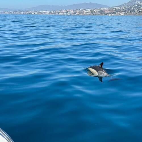 BOAT RENTAL WITHOUT NAUTICAL LICENSE