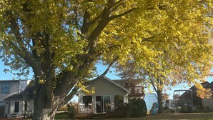 Une maison avec un grand arbre devant, un porche abrité et un garage.