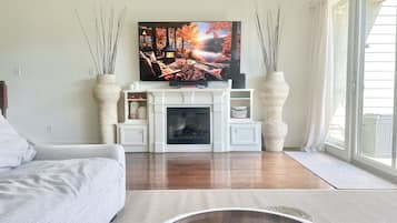 Smart TV, fireplace, books, stereo