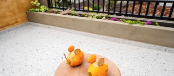 블리스 블레싱스 빌라