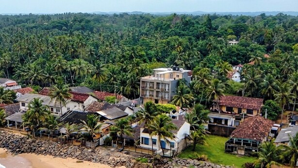 Une zone résidentielle côtière où les maisons sont entourées de palmiers denses, avec une plage et une côte rocheuse.