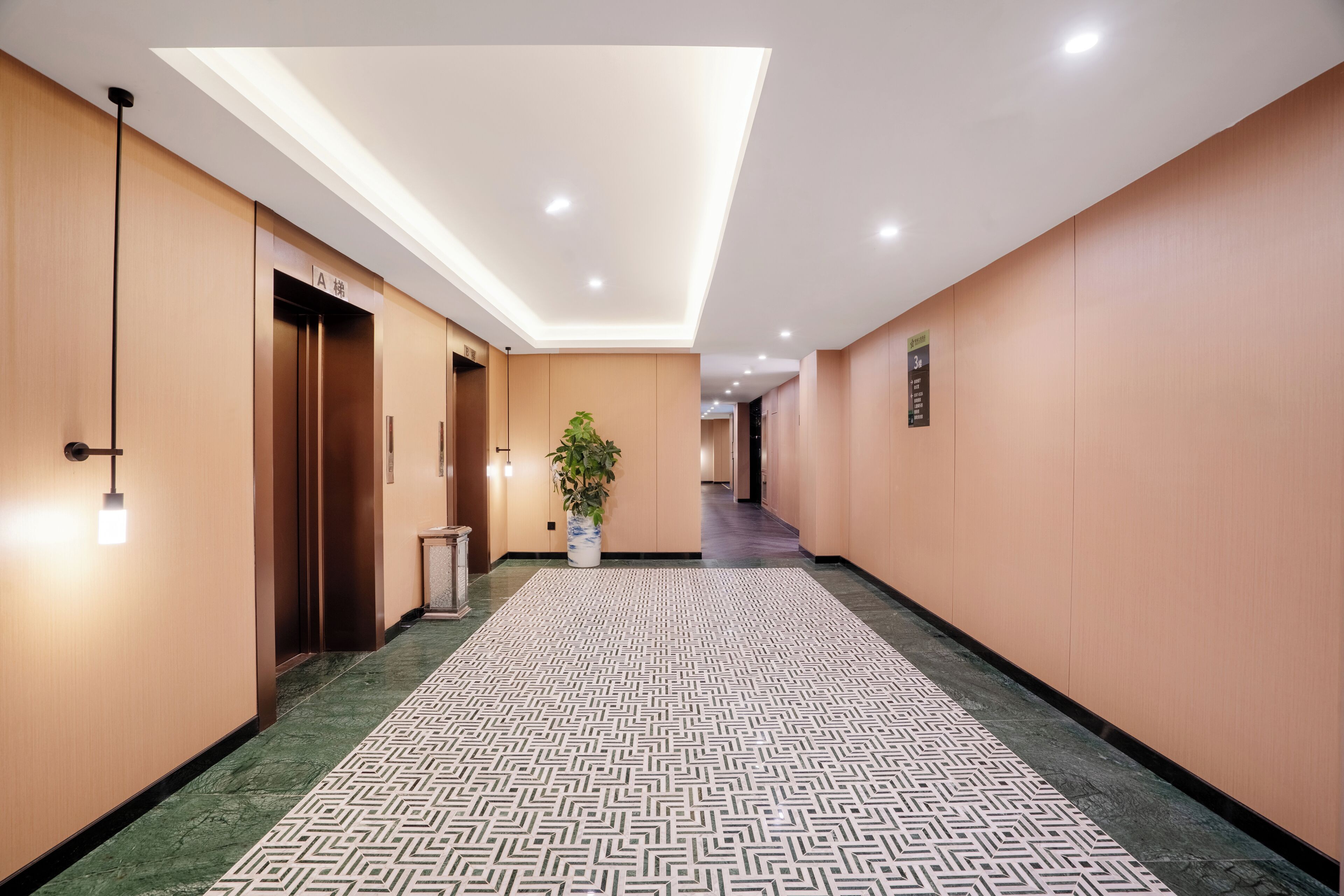 A hotel hallway with a patterned carpet, recessed ceiling lights, and a potted plant.