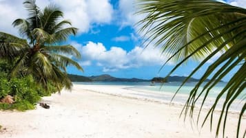 Plage à proximité, sable blanc, serviettes de plage, 6 bars de plage