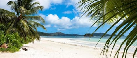 Beach nearby, white sand, beach towels, 6 beach bars