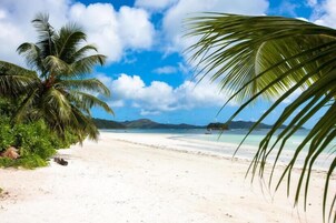 Beach nearby, white sand, beach towels, 6 beach bars