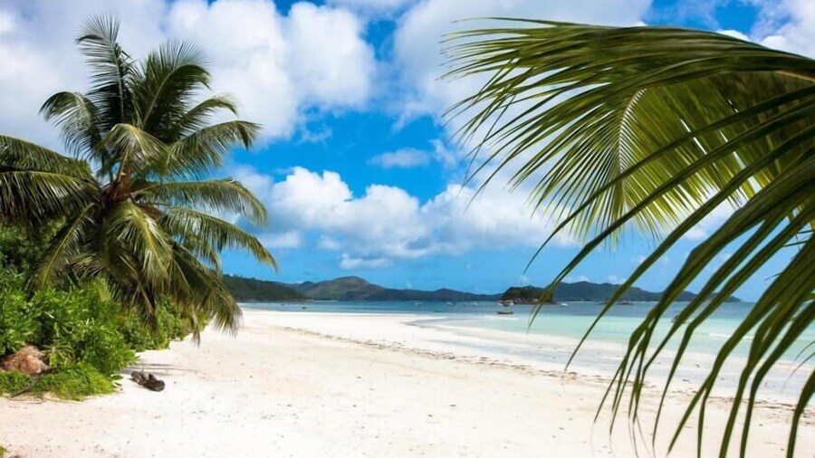 Praslin Paradise