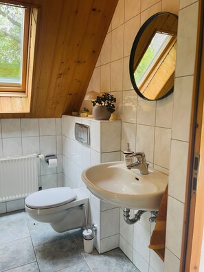 Dusche, Haartrockner, Handtücher