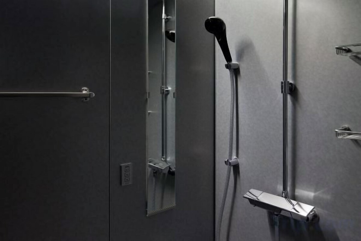 Rainfall showerhead, hair dryer, slippers, bidet