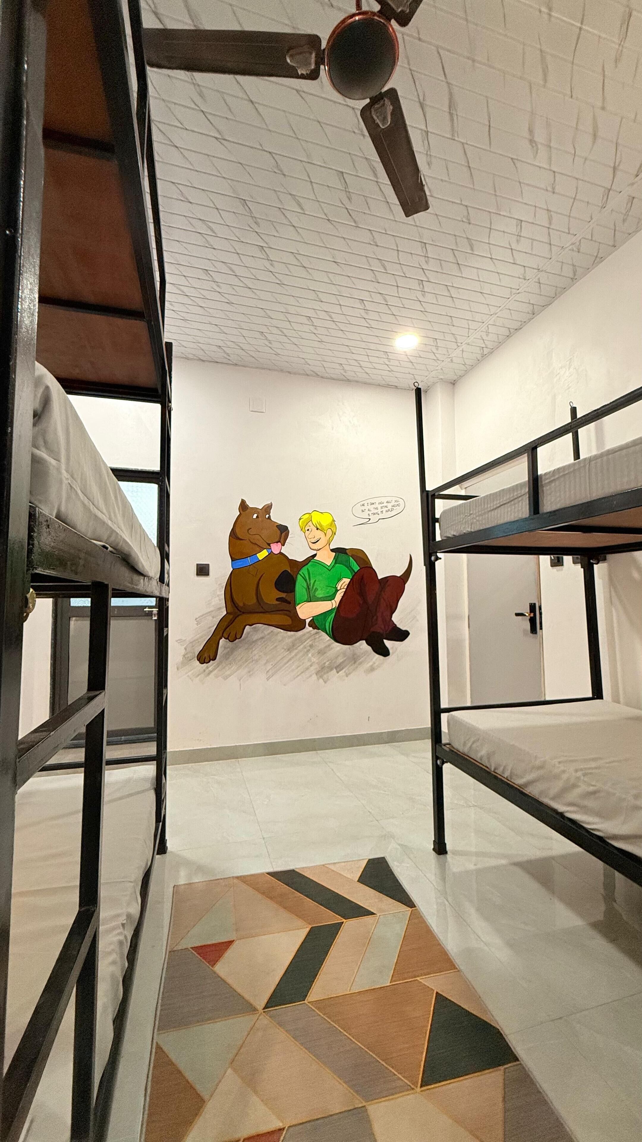 Photo - Hostel Funky Bunky