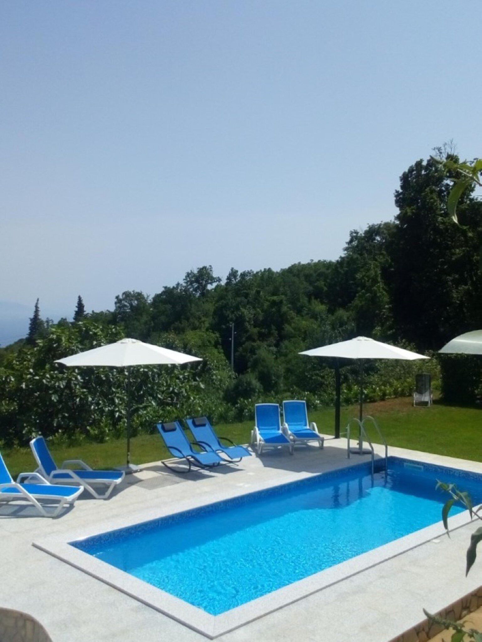 Une piscine rectangulaire à l’eau d’un bleu limpide, entourée d’une terrasse en béton. On y trouve quatre chaises longues bleues et deux parasols blancs qui offrent de l’ombre. La piscine est mise en valeur par un décor de verdure luxuriante et un ciel dégagé.