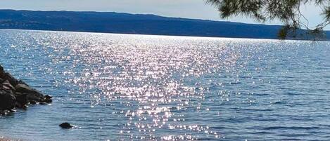 Apartment (One Bedroom Apartment) | Außenbereich