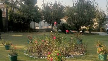 Property grounds