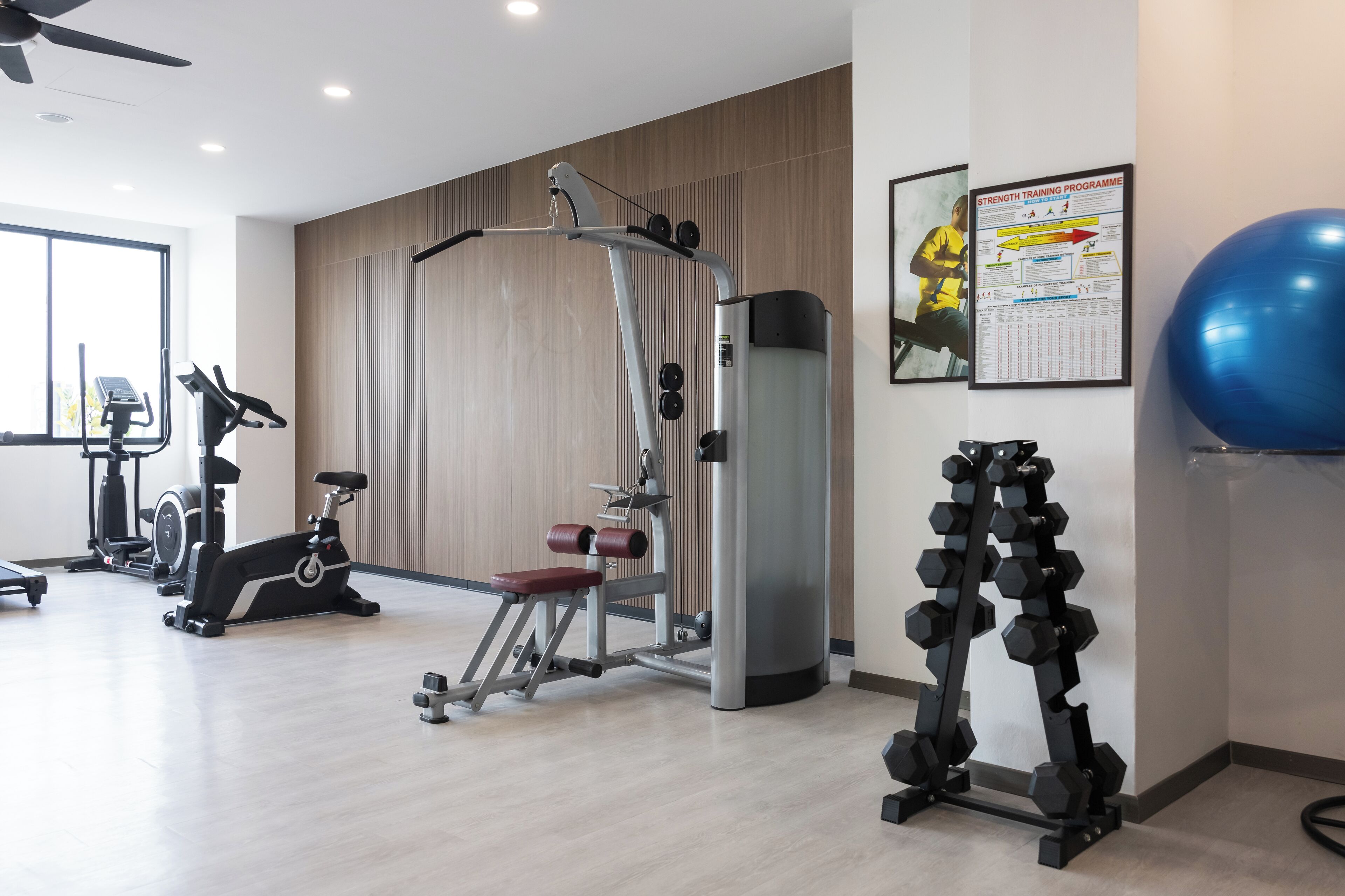 A modern gym with various exercise equipment, including an elliptical, a weight machine, and a set of dumbbells.