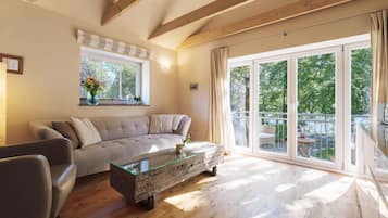 Televisión, chimenea, estéreo