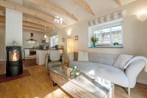 TV, fireplace, stereo