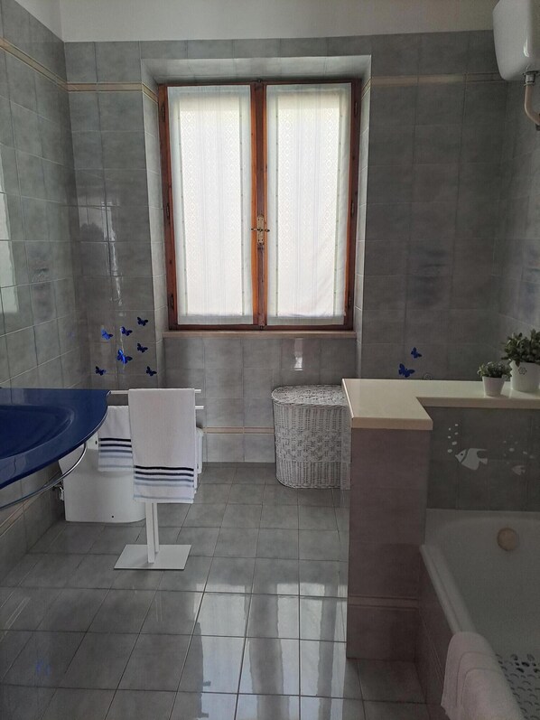 Ducha, secador de pelo, bidé y toallas