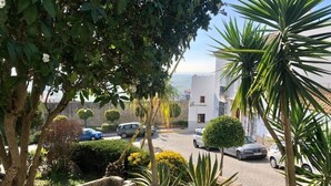 A courtyard with stone planters, a palm tree, and a building with a white facade. - Casa La Muralla: a romantic boutique house by the historic walls of Medina Sidonia (Medina-Sidonia)