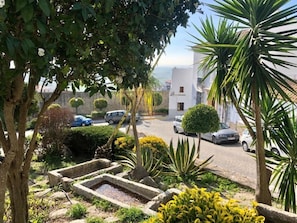Un patio con macetas de piedra, una palmera y un edificio de fachada blanca.