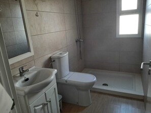 Shower, towels, toilet paper