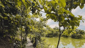 Een pad van stenen dat naar een waterpartij leidt, omringd door weelderige begroeiing en bomen.