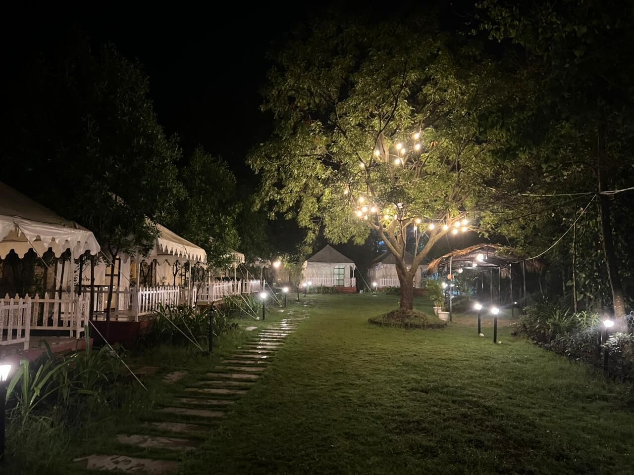 A nighttime outdoor area with a pathway leading to a building, surrounded by trees and illuminated by string lights.