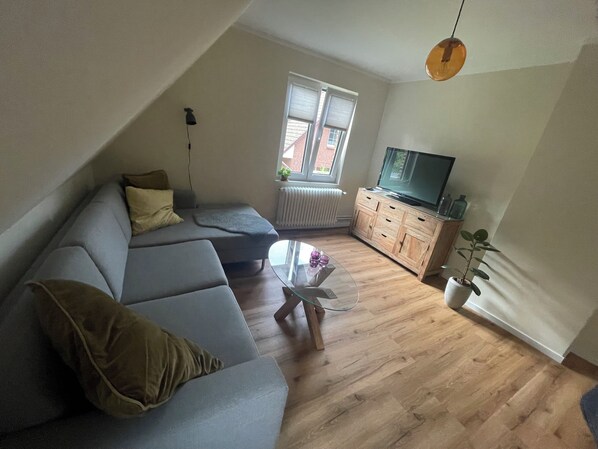 Televisión y libros 