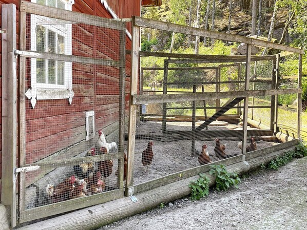 Maison | Enceinte de l’hébergement