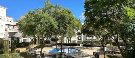A courtyard with a swimming pool, surrounded by trees and a fence.