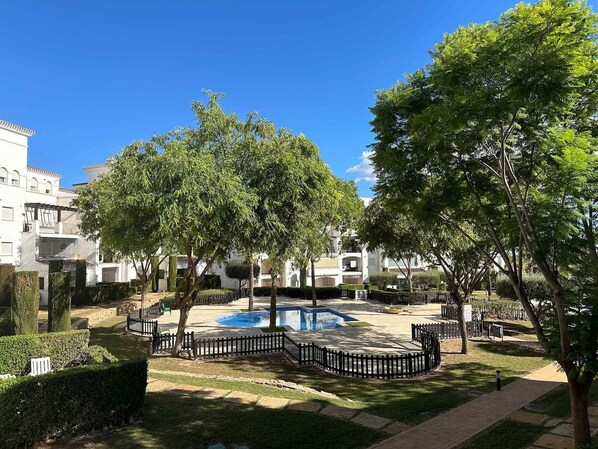 Une cour avec une piscine, entourée d’arbres et d’une clôture.