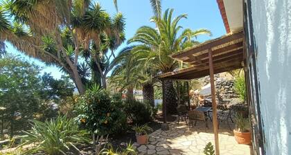 Bungalow in El Paso With Terrace