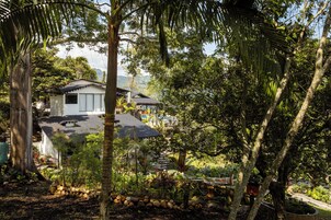Una casa tradicional rodeada de vegetación exuberante y un paisaje montañoso.