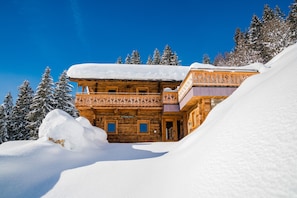 House | Exterior - Chalet in Hollersbach Near Kitzbuhel Ski Lift (Hollersbach im Pinzgau)