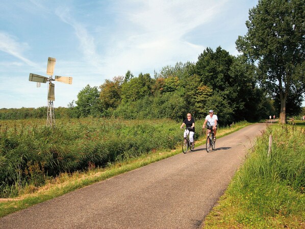A paved path with cyclists, surrounded by greenery and a windmill in the background. - Air-conditioned House in the Green Twente (Hoge Hexel)