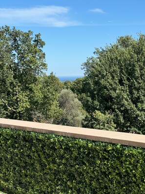 Enjoy breathtaking views of the ocean from this serene outdoor space.