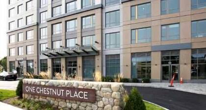 Luxury Apt Near Downtown
