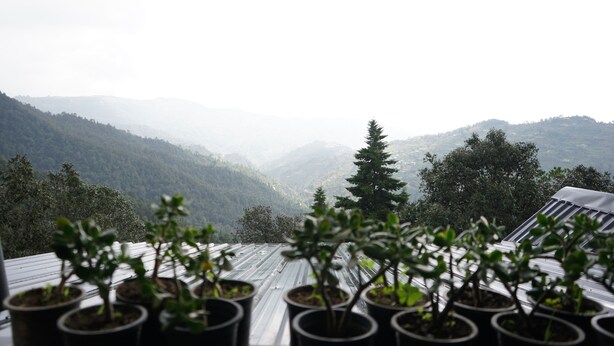 Terraza con plantas en macetas y vistas a un paisaje montañoso.