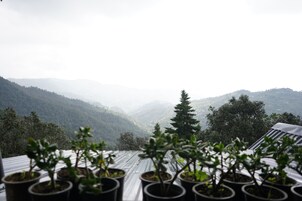 Terraza en la azotea