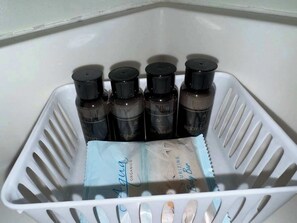 Shower, hair dryer, towels, shampoo