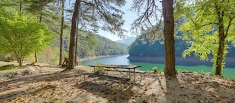 1 Mi to Nantahala River: Mtn-view Retreat!