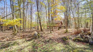 獨棟房屋 (4 Bedrooms) | 住宿內部