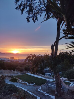 Property grounds - Zephyrus Sunset House (NAXOS)