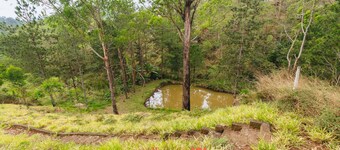 Sítio em Mairiporã com piscina e muito conforto